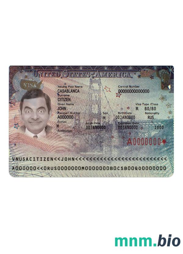 USA travel visa version 2